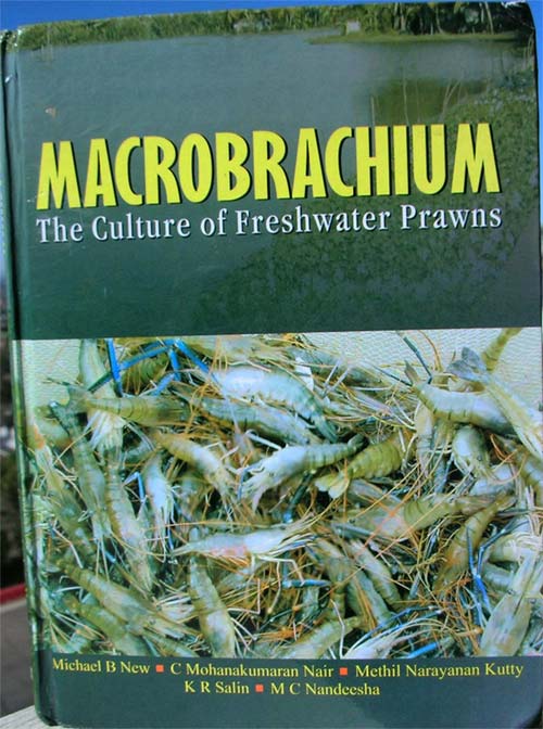 Macrobrachium: the culture of freshwater prawns